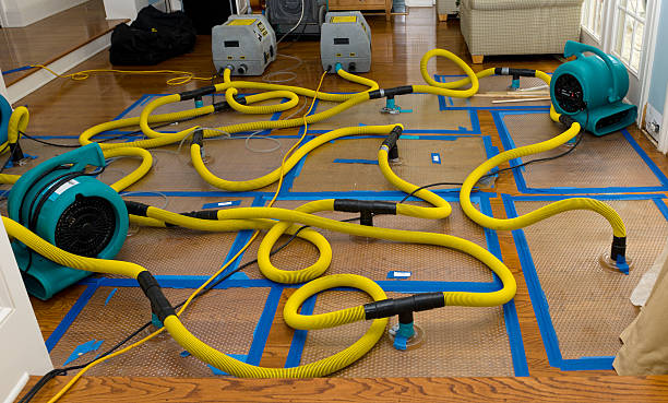 Professional Sewage Cleanup technician working in Roanoke, IL